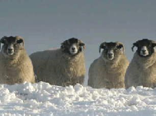 Humidity Regulator image